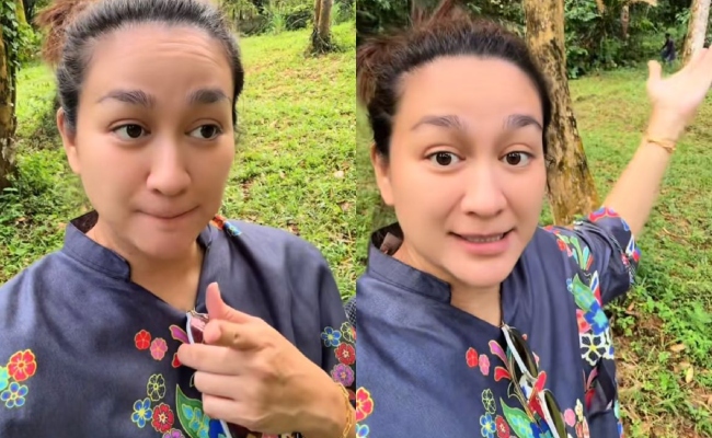 [VIDEO] Lembu Korban Dynas Mokhtar Lari Masuk Hutan 