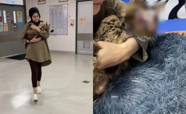 ‘Kasihan Fara Kena Bawa Tiger Ke Mana-Mana Dalam Keadaan Sarat’