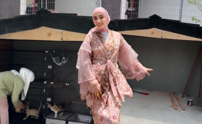 Adira Suhaimi Ditegur Netizen Sediakan Sangkar Sempit Untuk Kucing – ‘Terkena Panas & Hujan’