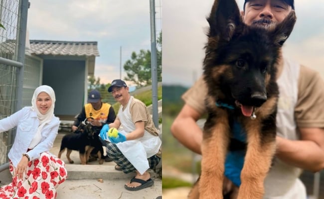 Bonda Rozita Beli Dua Ekor Anjing Jenis K9, Letak ‘Microchip’ Untuk Elak Dicuri – ‘Demi Keselamatan Ladang’