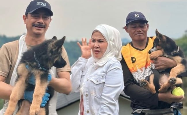 Bonda Rozita Beli Dua Ekor Anjing Jenis K9, Letak ‘Microchip’ Untuk Elak Dicuri – ‘Demi Keselamatan Ladang’