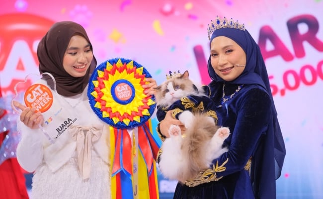 King Evian Dinobatkan Juara Cat Fashion Week!