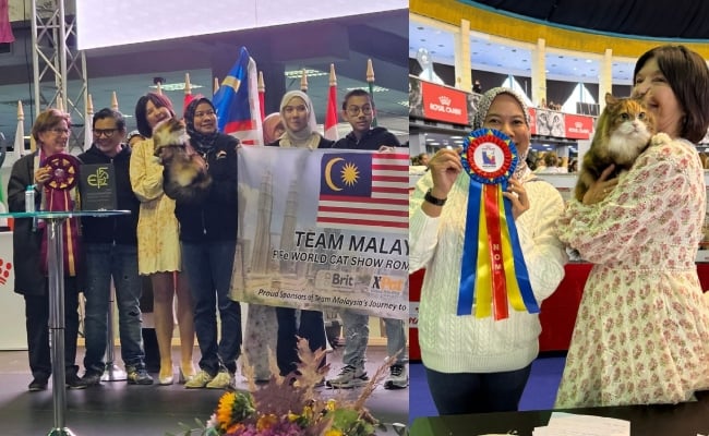 [VIDEO] ‘Baby’ Si Bulus Malaysia Rangkul Gelaran Juara Dunia Di Romania, Pertahankan Kemenangan Tahun Lalu