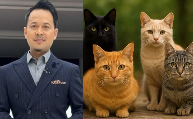 [VIDEO] Fedtri Yahya Kongsi Kucing Jadi Perisai Sihir, Antara Bentuk Bantuan Allah – ‘Kalau Terkena, Akan Mati Dahulu’