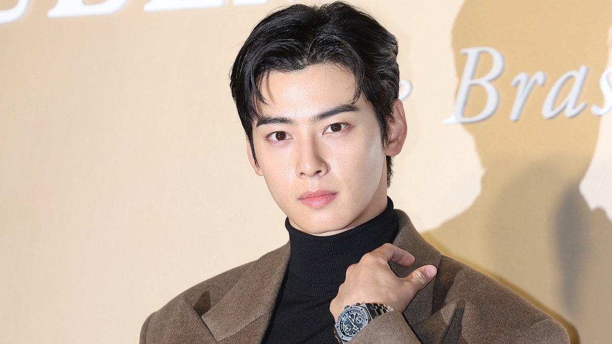 Tubuh Syarikat Sendiri Atas Nama Ibu & Tipu Jumlah Pendapatan, Cha Eun Woo Elak Bayar Cukai RM55 Juta?