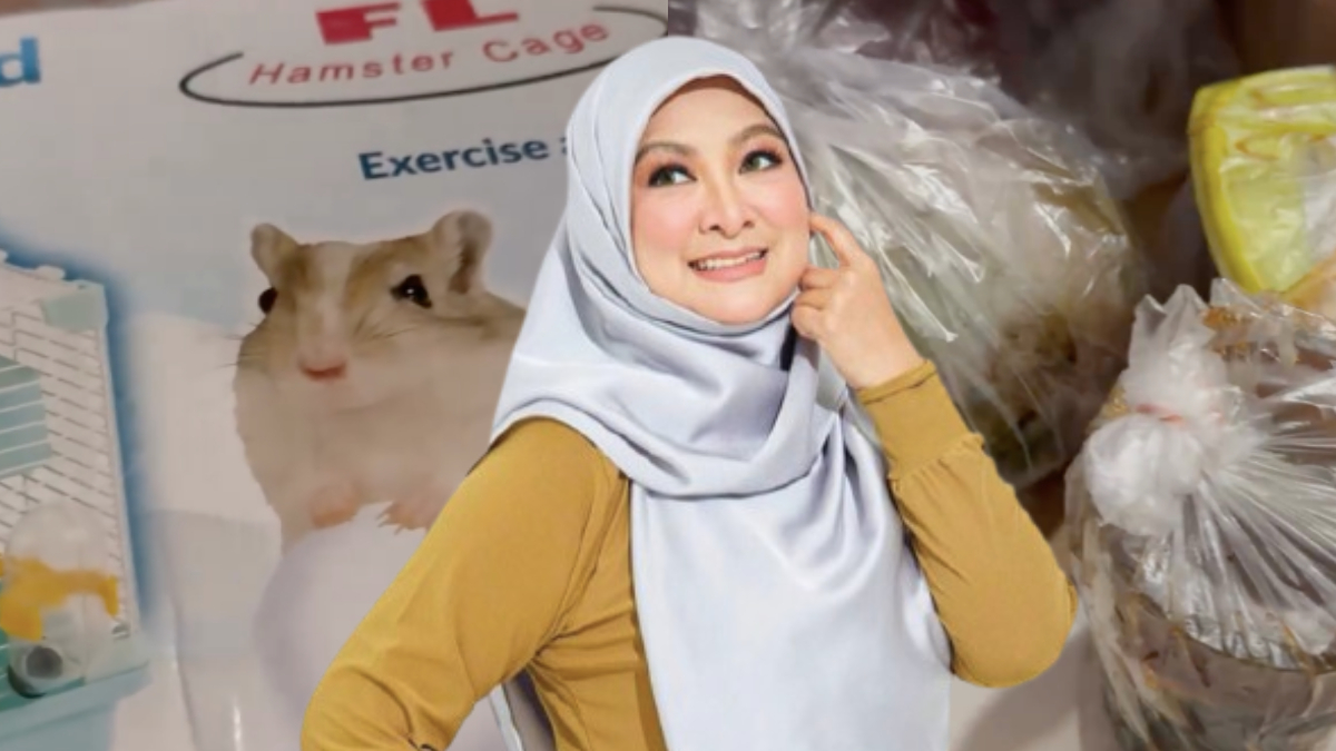 [VIDEO] Abby Abadi Tegur Peniaga Online ‘Post’ Makanan Guna Kotak Sangkar Hamster – ‘Tak Senonoh, Tolong Perbaiki’