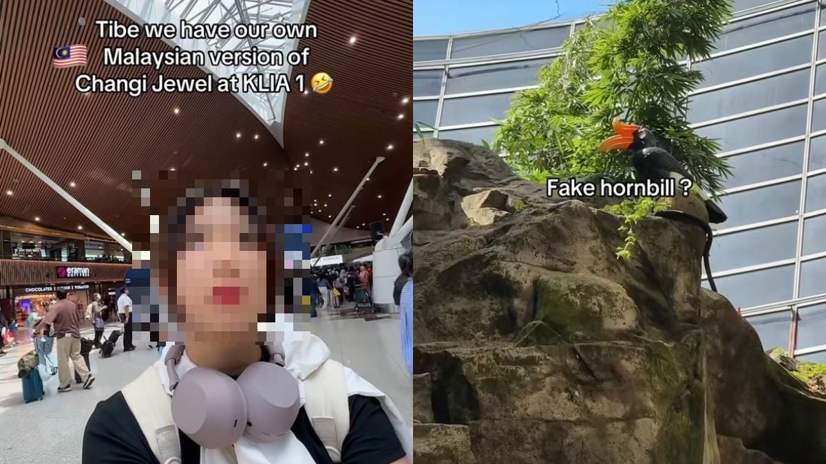 Personaliti Media Sosial Nafi Perlekeh Rimba Jungle Boardwalk KLIA, Dakwa Video Disunting Timbulkan Naratif Keliru