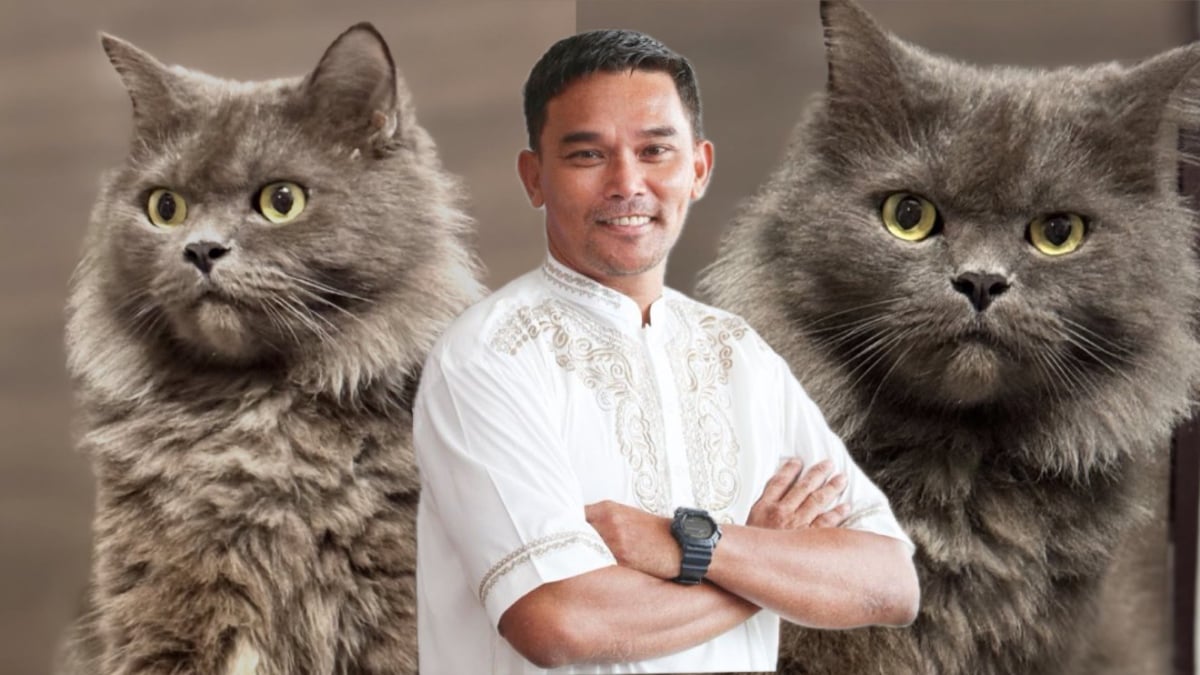 [VIDEO] Azhan Rani Rayu Bantuan Cari Kucing Hilang – ‘Bila Kilau Tak Ada, Saya Rasa Macam Sesuatu Tak Kena’