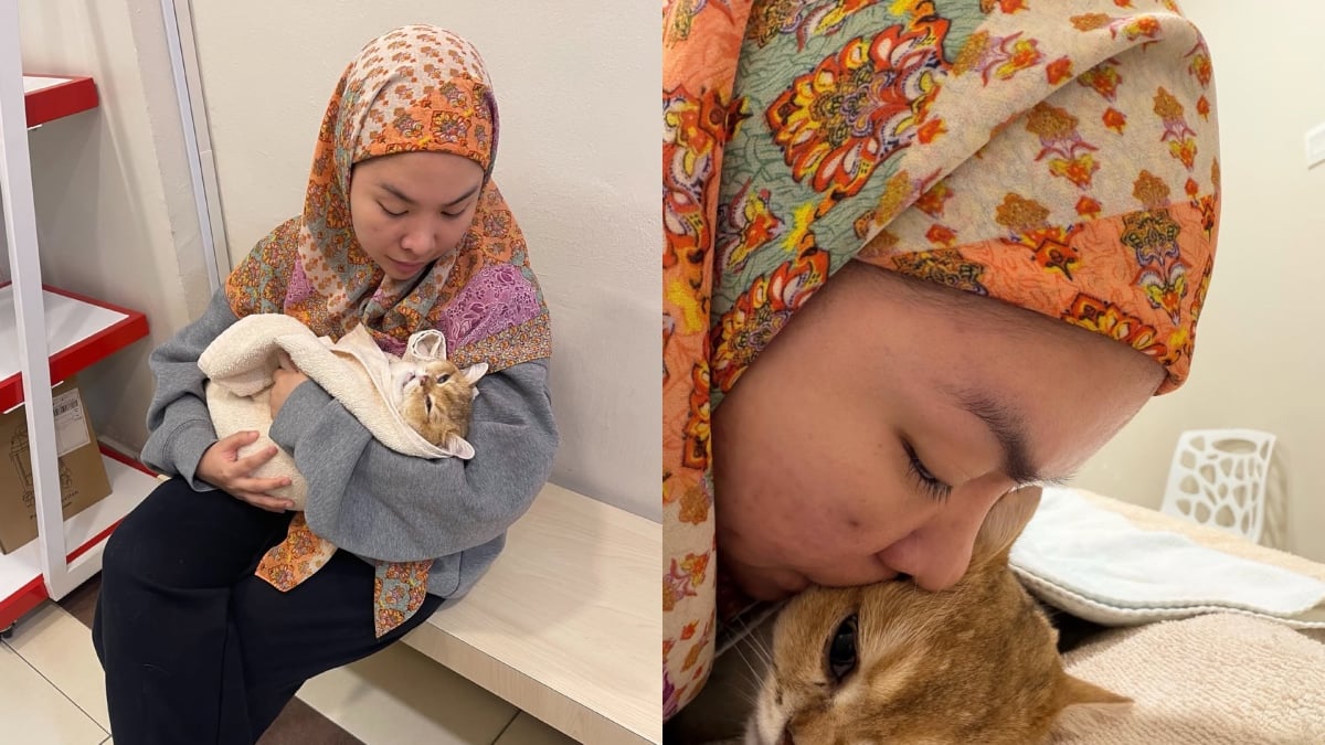 ‘Terpaksa Pendam Sakit & Sedih, Menangis Sendiri’ – Aina Abdul Kehilangan Kucing Kesayangan Ketika Persiapan AJL