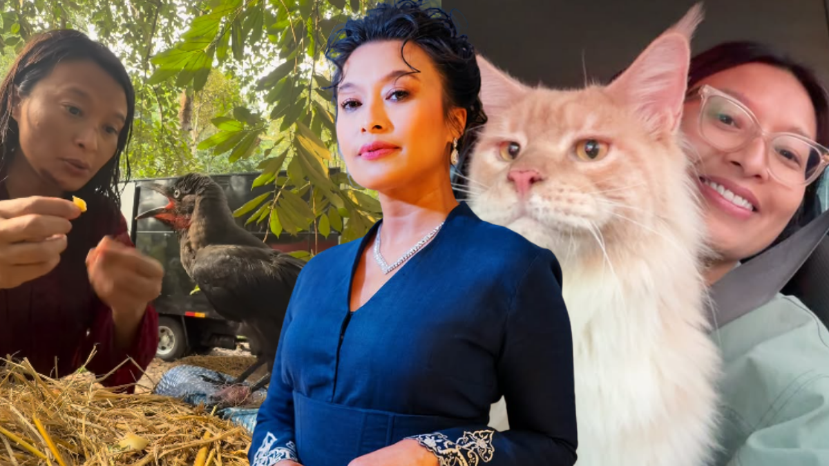 Nabila Huda Tulis Luahan Kepada PM, Minta Isu Penderaan Haiwan Dipandang Serius