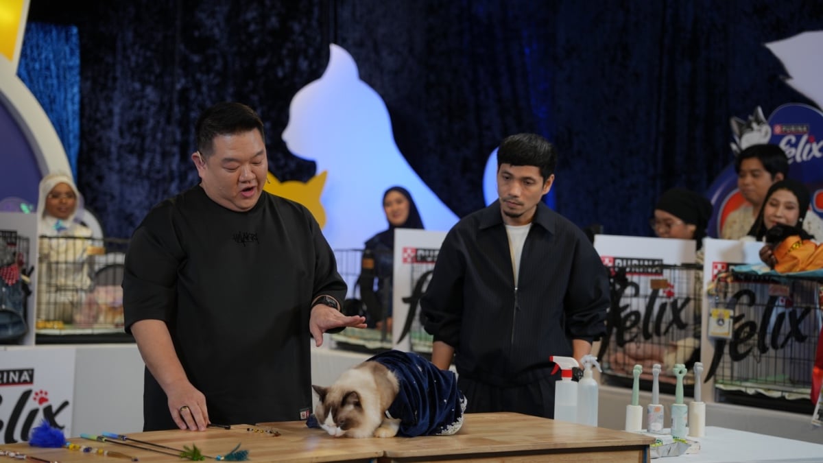 20 ‘Meow-Del’ Mara Di Separuh Akhir Purina Felix Cat Fashion Week, Aksi Comel & Luar Biasa Jadi Taruhan Ke Final